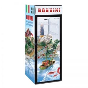 Шкаф холодильный Bonvini 350 BGC